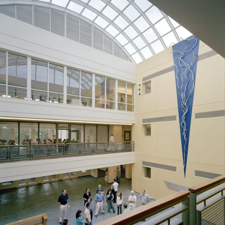 atriumart_people_seethr-a